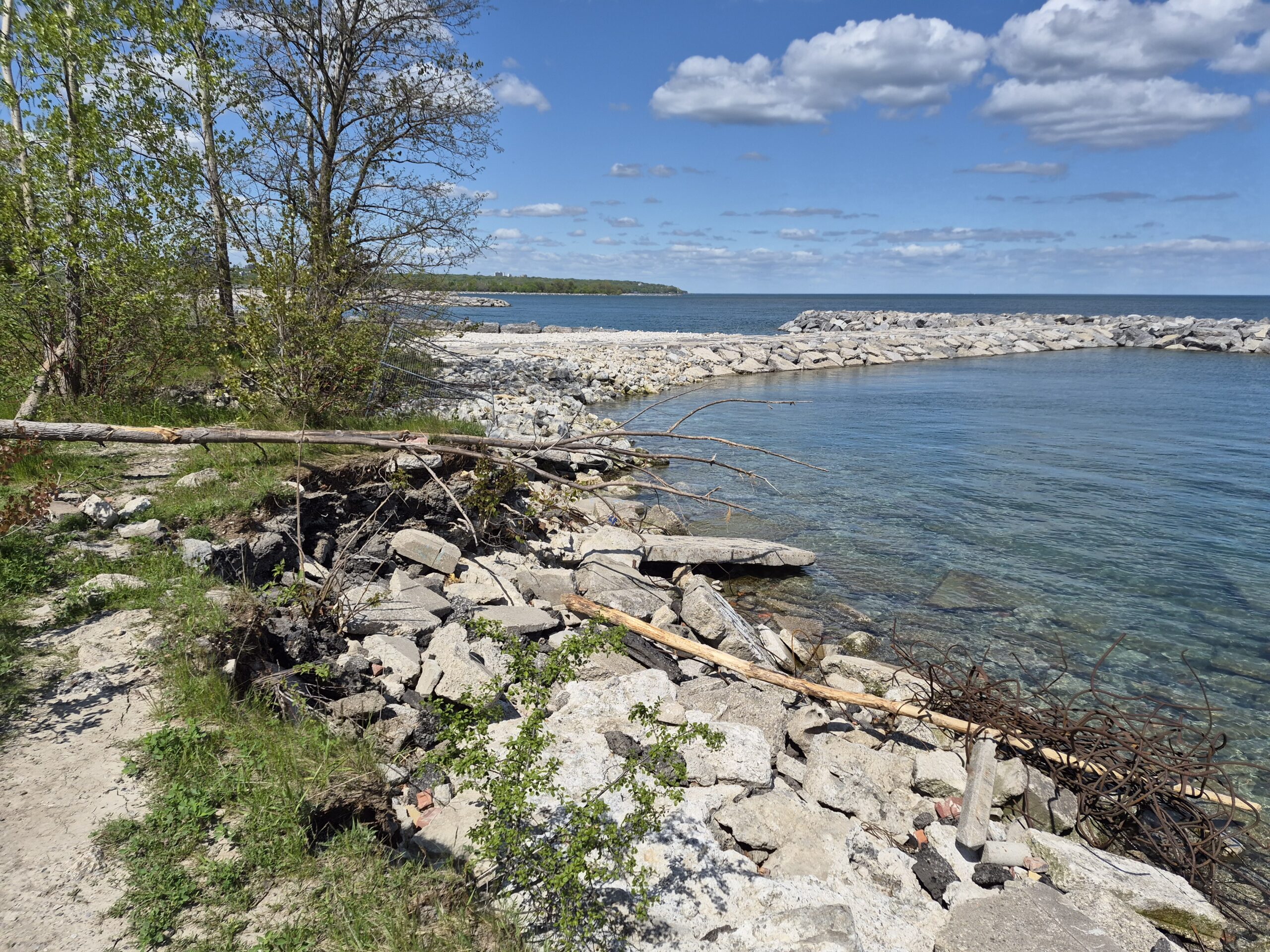 Section of eroded shoreline with exposed rebar tangles and encroachment onto the informal trail.