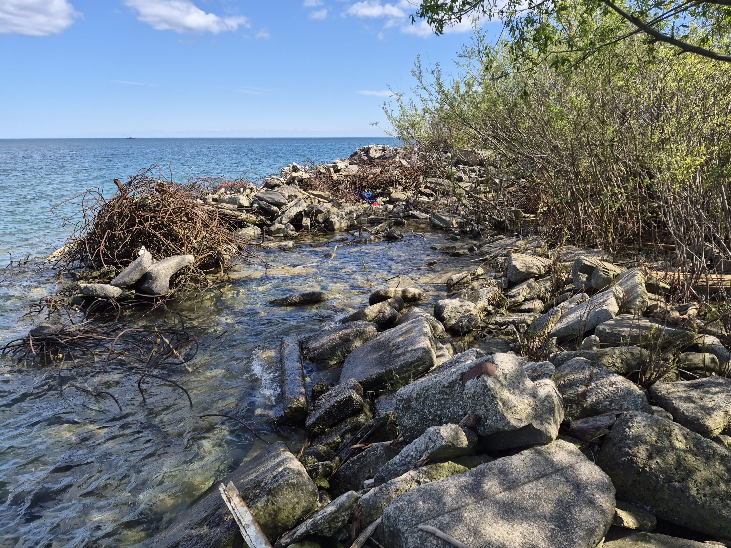 Irregular profile and rebar tangle of the headland.