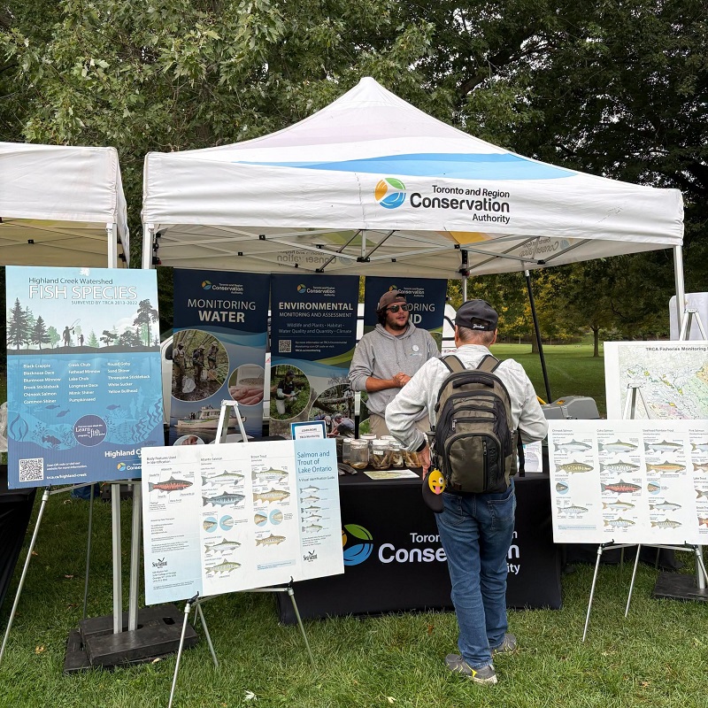 a community member visits an interactive educational booth at the TRCA Adventures of Salmon event