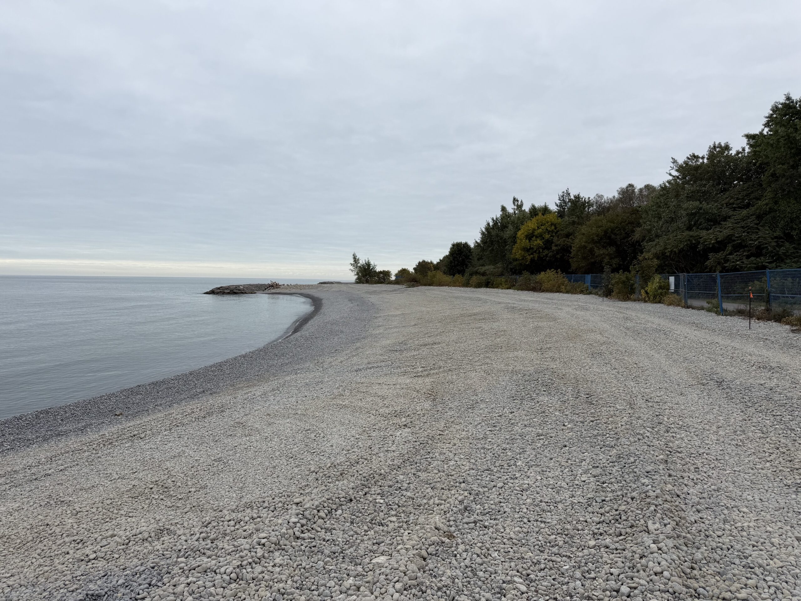 Completed third cobble shoreline, with a wide and uniform profile of small cobblestone. A headland is visible in the background, Lake Ontario on the left, and the wooded area behind the backshore on the right.