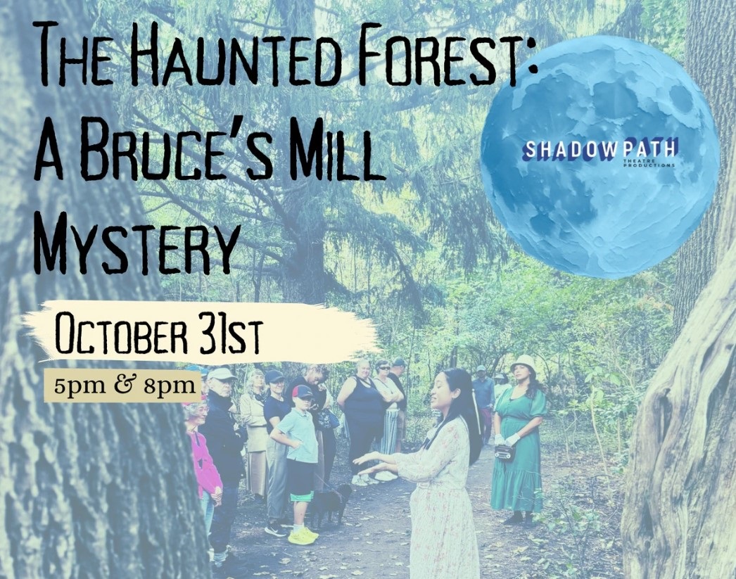 poster for a presentation of The Haunted Forest - A Bruce's Mill Mystery