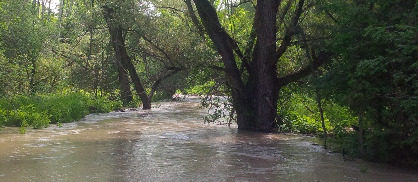 flooding in the Carruthers Creek watershed