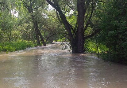 flooding in the Carruthers Creek watershed