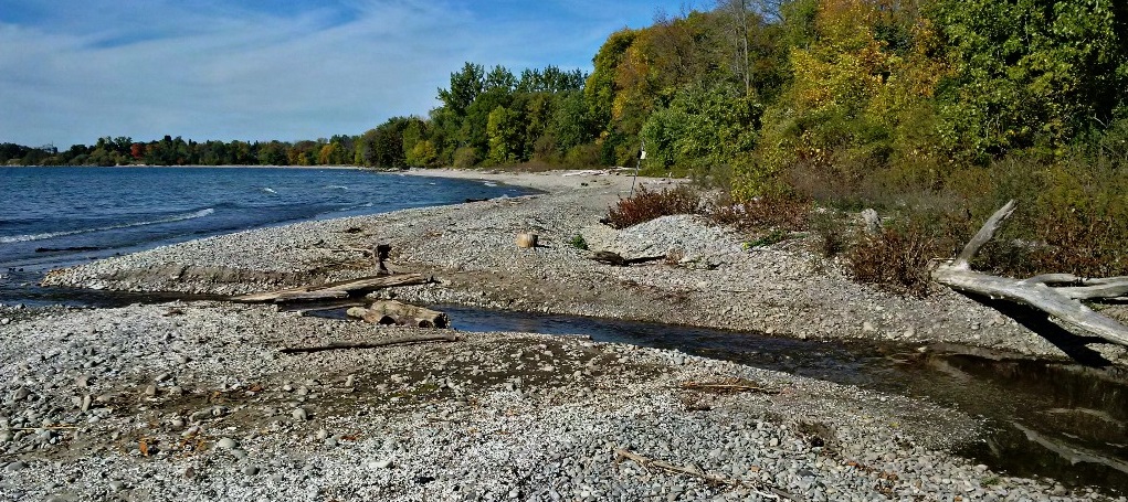 a Lake Ontario shoreline area in the Carruthers Creek watershed