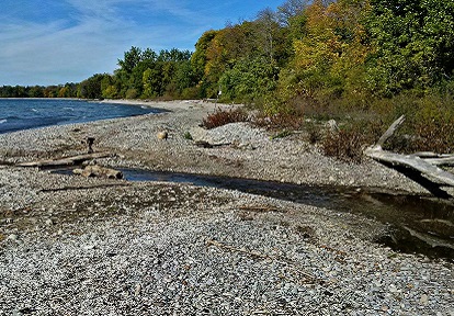 a Lake Ontario shoreline area in the Carruthers Creek watershed